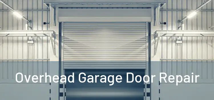 Overhead Garage Door Repair 